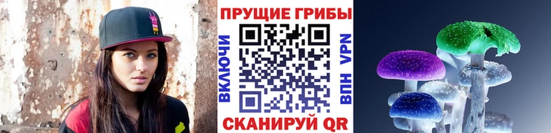купить наркоту Заозёрный Псилоцибиновые грибы мухоморы